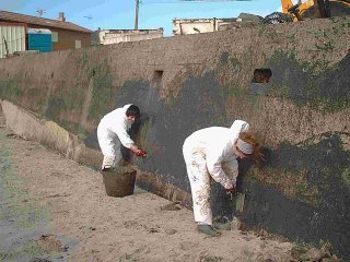 PRESTIGE VOLUNTARIOS 05